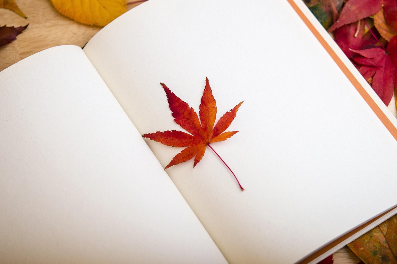 What My Messy Bookshelf Taught Me About Keeping Things